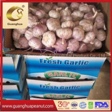 Hot Sales New Crop Chinese Garlic